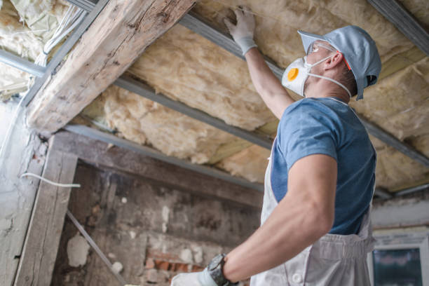 Trusted Iola, KS Insulation Contractor Experts